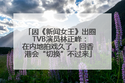 因《新闻女王》出圈 TVB演员林正峰：在内地拍戏久了，回香港会“切换”不过来