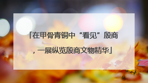在甲骨青铜中“看见”殷商，一展纵览殷商文物精华