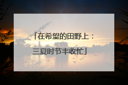 在希望的田野上：三夏时节丰收忙