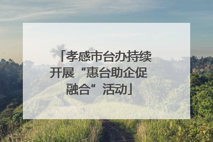 孝感市台办持续开展“惠台助企促融合”活动