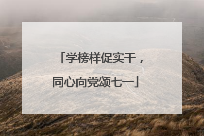 学榜样促实干，同心向党颂七一