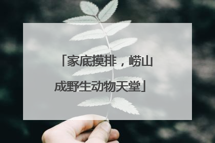 家底摸排，崂山成野生动物天堂