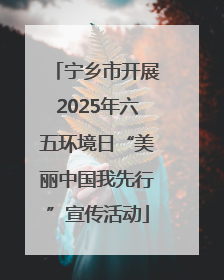 宁乡市开展2025年六五环境日“美丽中国我先行”宣传活动