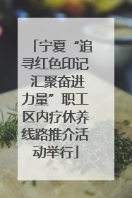 宁夏“追寻红色印记 汇聚奋进力量”职工区内疗休养线路推介活动举行