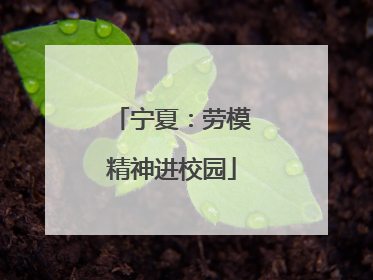 宁夏：劳模精神进校园