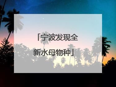宁波发现全新水母物种