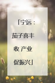 宁远：茄子喜丰收 产业促振兴
