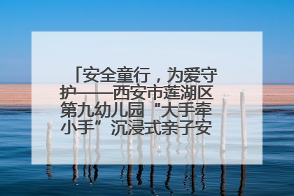 安全童行，为爱守护——西安市莲湖区第九幼儿园“大手牵小手”沉浸式亲子安全体验活动