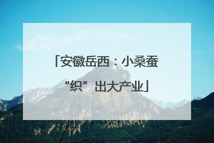 安徽岳西：小桑蚕“织”出大产业