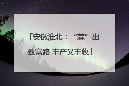 安徽淮北：“蒜”出致富路 丰产又丰收
