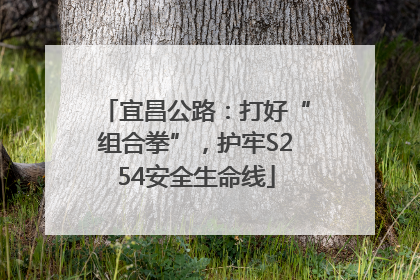 宜昌公路：打好“组合拳”，护牢S254安全生命线