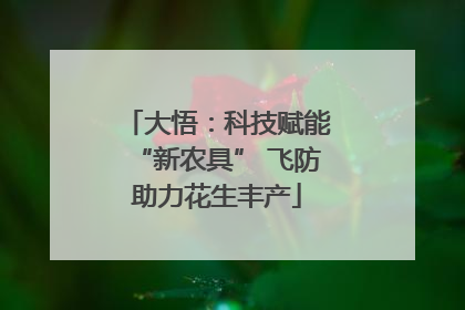 大悟：科技赋能“新农具” 飞防助力花生丰产