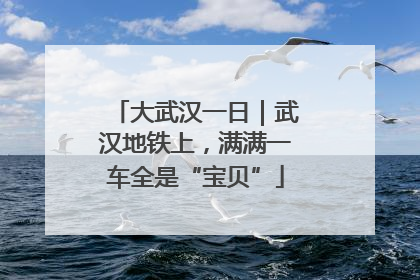 大武汉一日｜武汉地铁上，满满一车全是“宝贝”