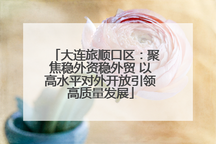 大连旅顺口区：聚焦稳外资稳外贸 以高水平对外开放引领高质量发展