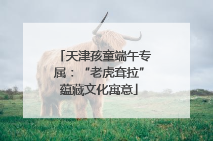 天津孩童端午专属：“老虎耷拉”蕴藏文化寓意