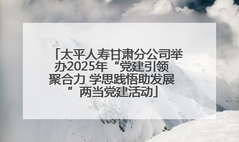 太平人寿甘肃分公司举办2025年“党建引领聚合力 学思践悟助发展”两当党建活动