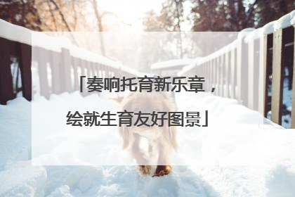 奏响托育新乐章，绘就生育友好图景