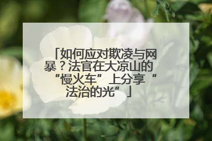 如何应对欺凌与网暴？法官在大凉山的“慢火车”上分享“法治的光”