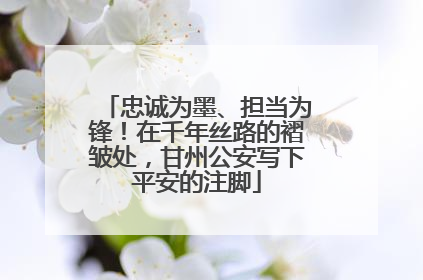 忠诚为墨、担当为锋！在千年丝路的褶皱处，甘州公安写下平安的注脚