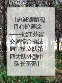忠诚铸路魂 丹心护通途——记江苏省交通综合执法局宁杭支队第四大队外勤中队长奚强