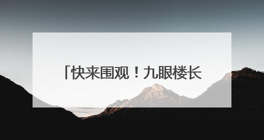 快来围观！九眼楼长城，傻狍子出没~