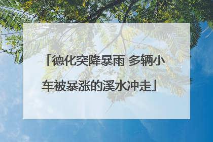 德化突降暴雨 多辆小车被暴涨的溪水冲走