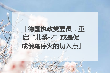 德国执政党要员：重启“北溪-2”或是促成俄乌停火的切入点