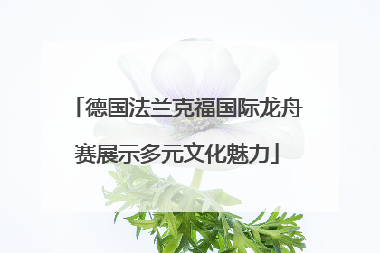 德国法兰克福国际龙舟赛展示多元文化魅力