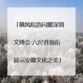 徽风皖韵闪耀深圳文博会 六尺巷领衔展示安徽文化之美