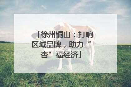 徐州铜山：打响区域品牌，助力“杏”福经济