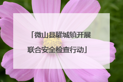 微山县驩城镇开展联合安全检查行动