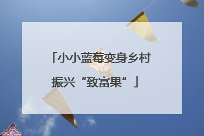 小小蓝莓变身乡村振兴“致富果”