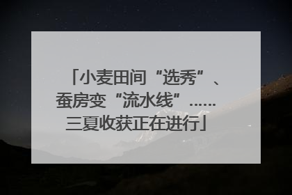 小麦田间“选秀”、蚕房变“流水线”……三夏收获正在进行