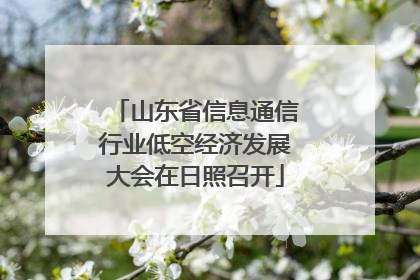 山东省信息通信行业低空经济发展大会在日照召开