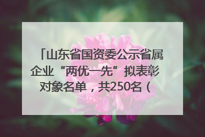 山东省国资委公示省属企业“两优一先”拟表彰对象名单，共250名（个）党员和党组织