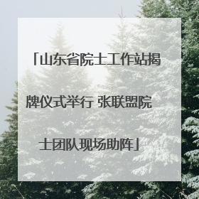 山东省院士工作站揭牌仪式举行 张联盟院士团队现场助阵