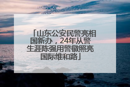 山东公安民警亮相国新办，24年从警生涯陈强用警徽照亮国际维和路
