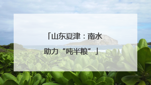 山东夏津：南水助力“吨半粮”