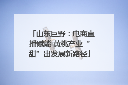 山东巨野：电商直播赋能 黄桃产业“甜”出发展新路径