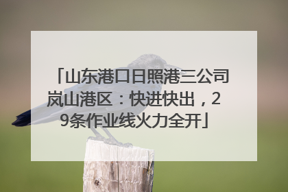 山东港口日照港三公司岚山港区：快进快出，29条作业线火力全开