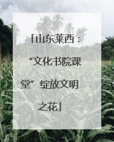 山东莱西：“文化书院课堂”绽放文明之花