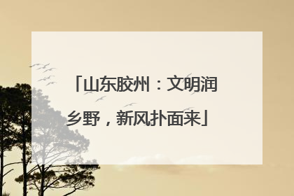 山东胶州：文明润乡野，新风扑面来