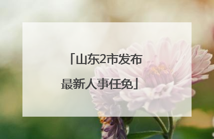 山东2市发布最新人事任免