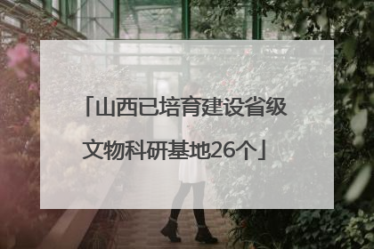 山西已培育建设省级文物科研基地26个