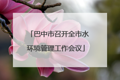巴中市召开全市水环境管理工作会议