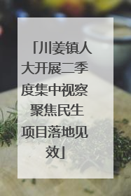 川姜镇人大开展二季度集中视察 聚焦民生项目落地见效