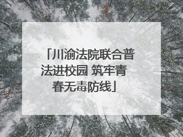 川渝法院联合普法进校园 筑牢青春无毒防线