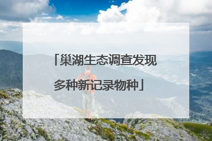 巢湖生态调查发现多种新记录物种