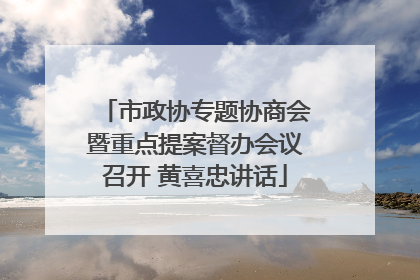 市政协专题协商会暨重点提案督办会议召开 黄喜忠讲话