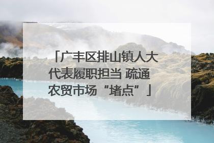 广丰区排山镇人大代表履职担当 疏通农贸市场“堵点”